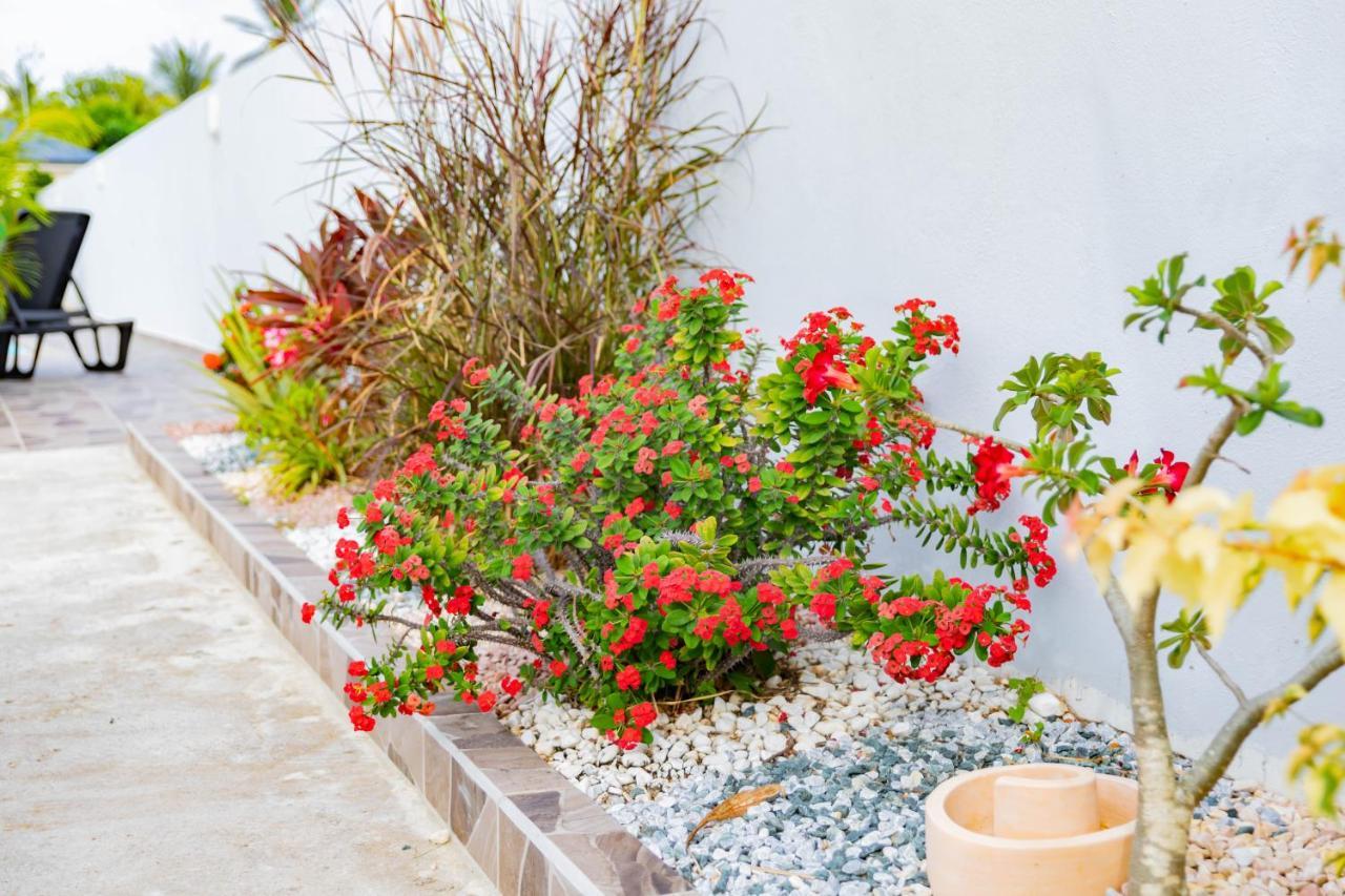 Promo ! Les Paisibles Villas C & G Richeplaine Exteriör bild